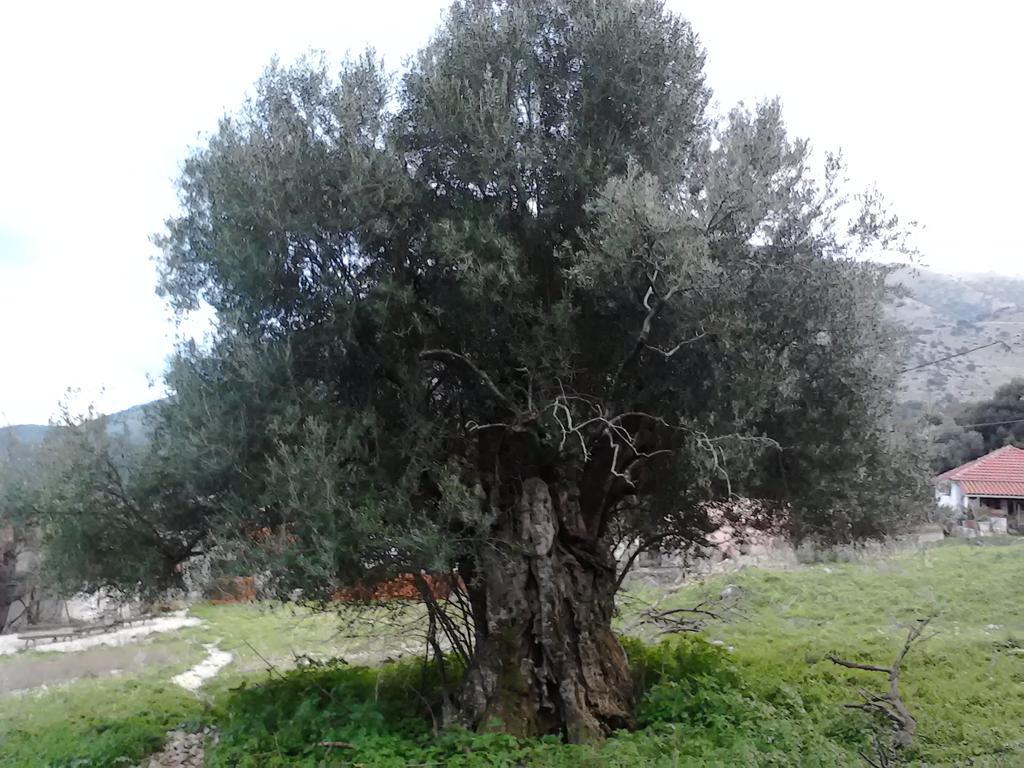 Evangelia Agia Efimia Exteriér fotografie