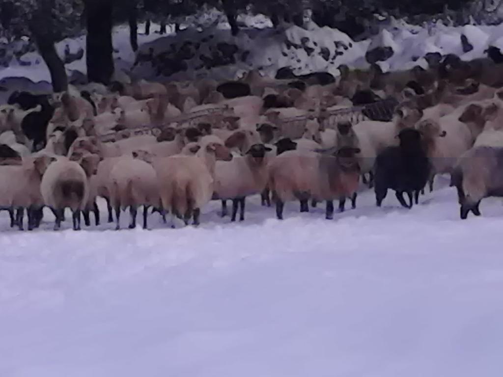 Evangelia Agia Efimia Exteriér fotografie