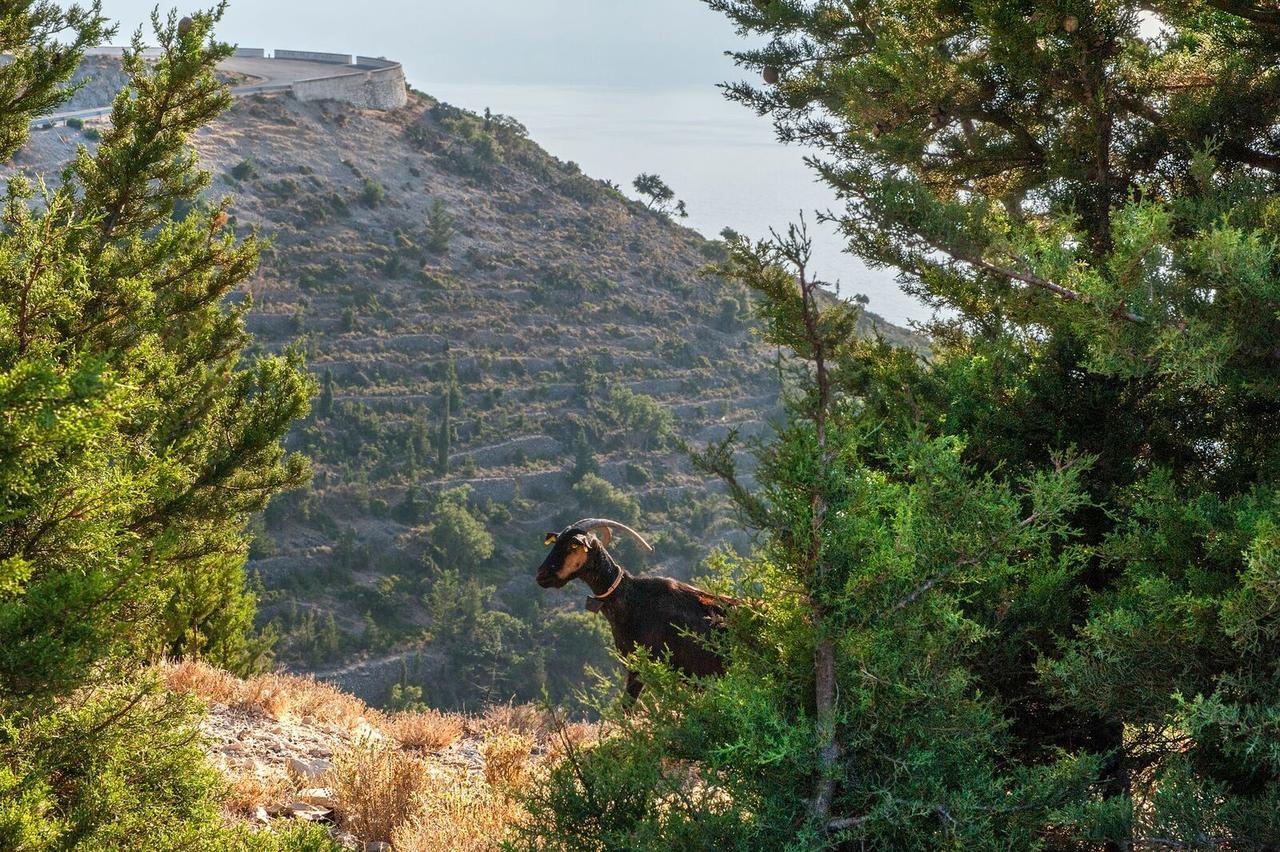 Evangelia Agia Efimia Exteriér fotografie
